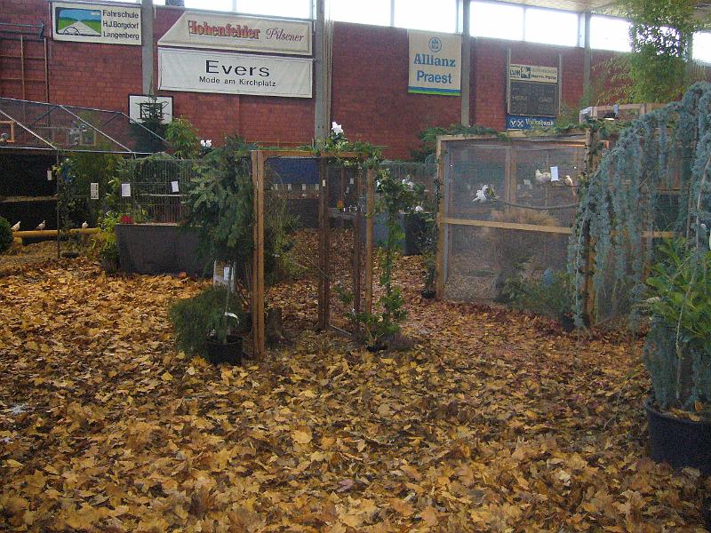 Ortsschau Langenberg 2008 136.jpg - Impressionen der Ortschau Langenberg 2008